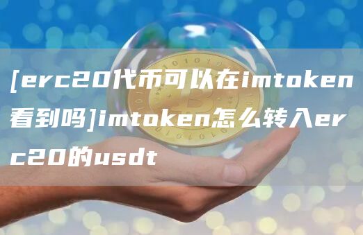 [erc20代币可以在imtoken看到吗]imtoken怎么转入erc20的usdt