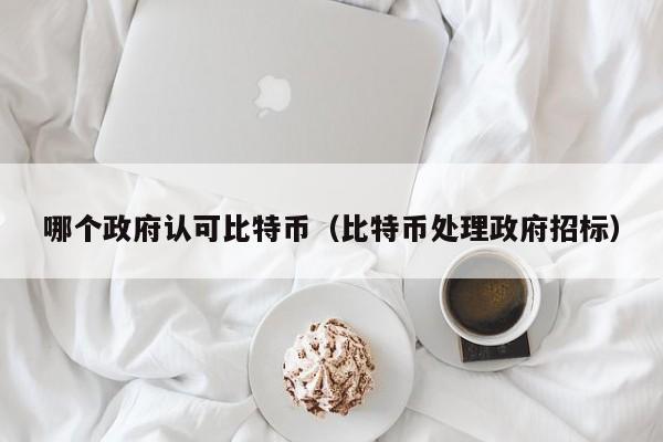 哪个政府认可比特币（比特币处理政府招标）