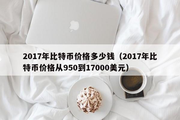 2017年比特币价格多少钱（2017年比特币价格从950到17000美元）