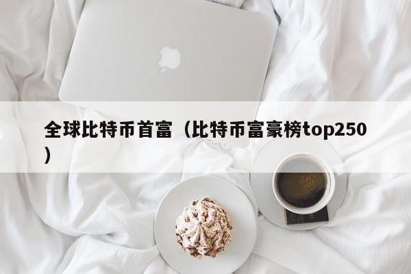 全球比特币首富（比特币富豪榜top250）