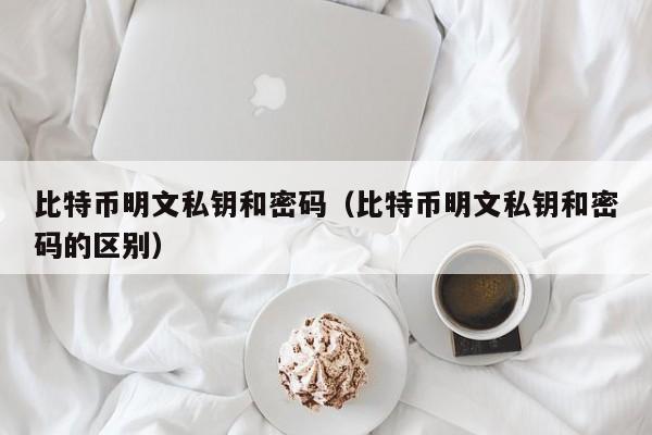 比特币明文私钥和密码（比特币明文私钥和密码的区别）