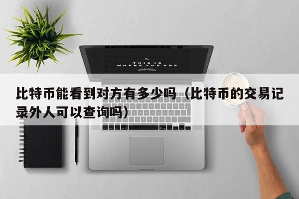 比特币能看到对方有多少吗（比特币的交易记录外人可以查询吗）