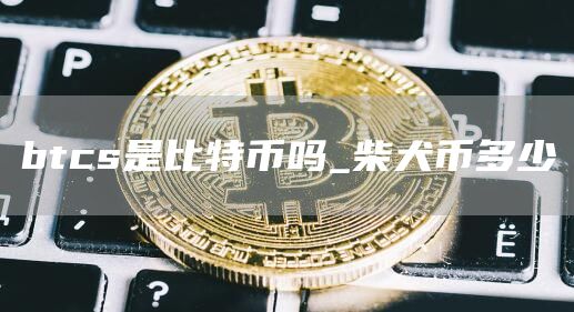 btcs是比特币吗_柴犬币多少