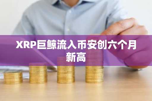 XRP巨鲸流入币安创六个月新高
