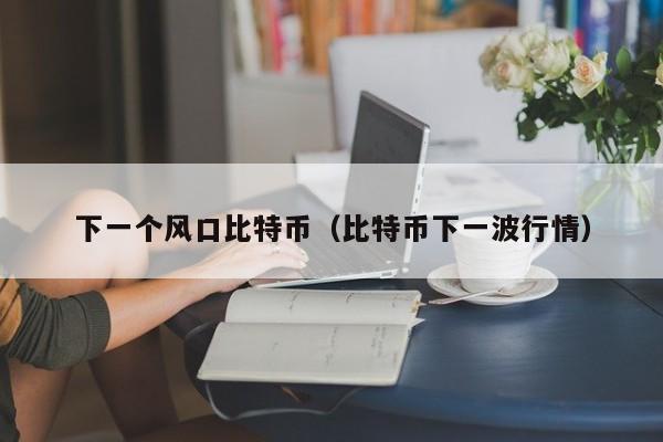 下一个风口比特币（比特币下一波行情）
