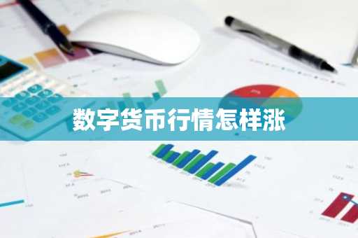数字货币行情怎样涨