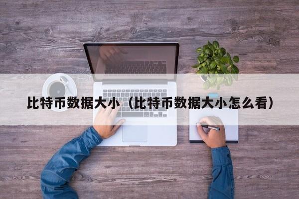 比特币数据大小（比特币数据大小怎么看）