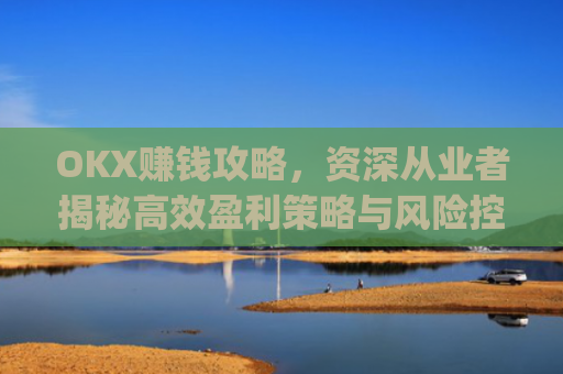 OKX赚钱攻略，资深从业者揭秘高效盈利策略与风险控制_okx赚钱图片