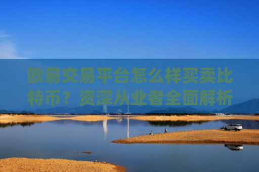欧易交易平台怎么样买卖比特币？资深从业者全面解析_