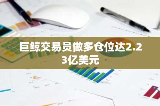 巨鲸交易员做多仓位达2.23亿美元