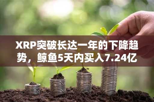 XRP突破长达一年的下降趋势，鲸鱼5天内买入7.24亿美元