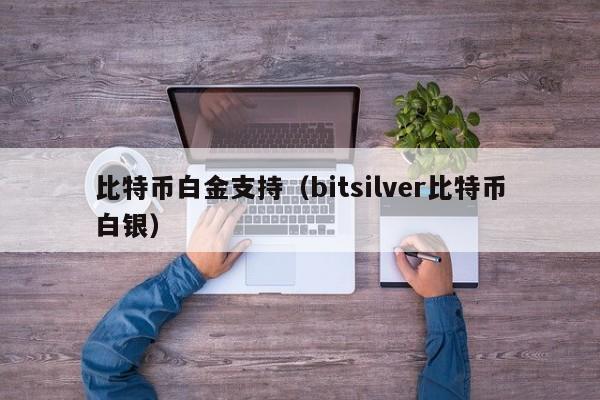 比特币白金支持（bitsilver比特币白银）