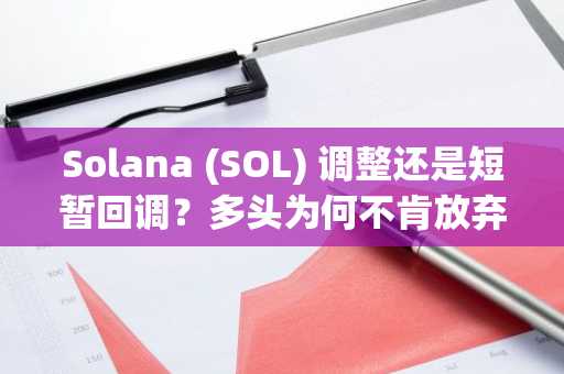 Solana (SOL) 调整还是短暂回调？多头为何不肯放弃