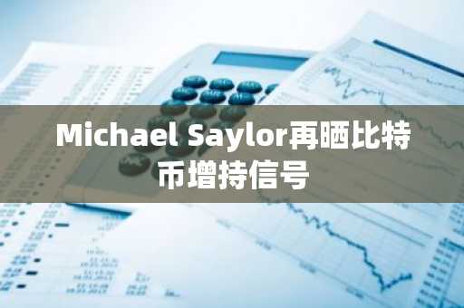 Michael Saylor再晒比特币增持信号