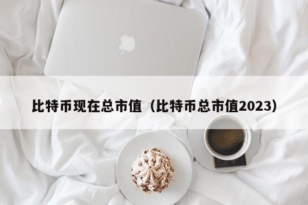 比特币现在总市值（比特币总市值2023）