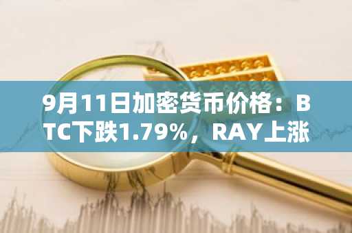 9月11日加密货币价格：BTC下跌1.79%，RAY上涨28.38%