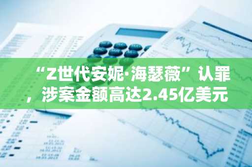“Z世代安妮·海瑟薇”认罪，涉案金额高达2.45亿美元