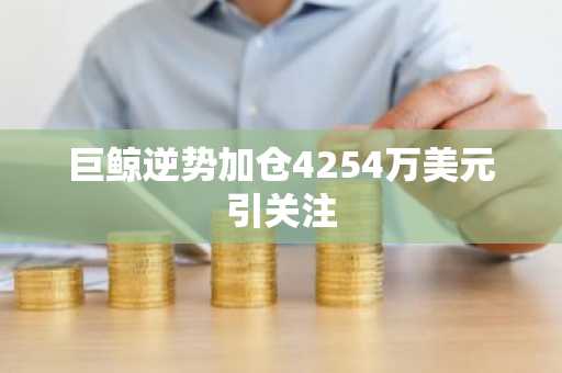 巨鲸逆势加仓4254万美元引关注