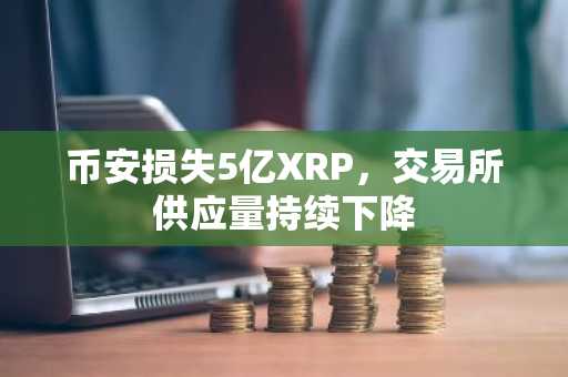 币安损失5亿XRP，交易所供应量持续下降