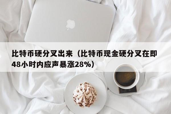 比特币硬分叉出来（比特币现金硬分叉在即 48小时内应声暴涨28%）