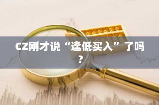 CZ刚才说“逢低买入”了吗？