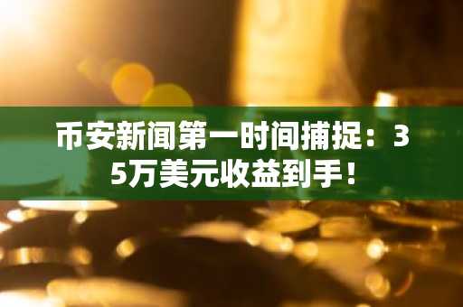 币安新闻第一时间捕捉：35万美元收益到手！