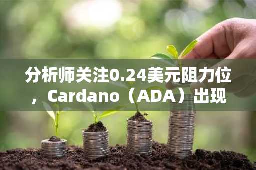 分析师关注0.24美元阻力位，Cardano（ADA）出现新买入信号
