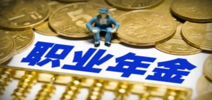职业年金是什么意思