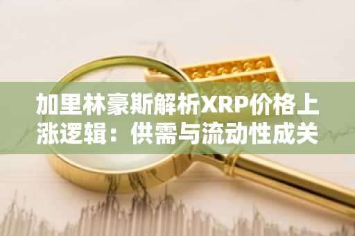 加里林豪斯解析XRP价格上涨逻辑：供需与流动性成关键驱动力