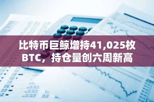 比特币巨鲸增持41,025枚BTC，持仓量创六周新高