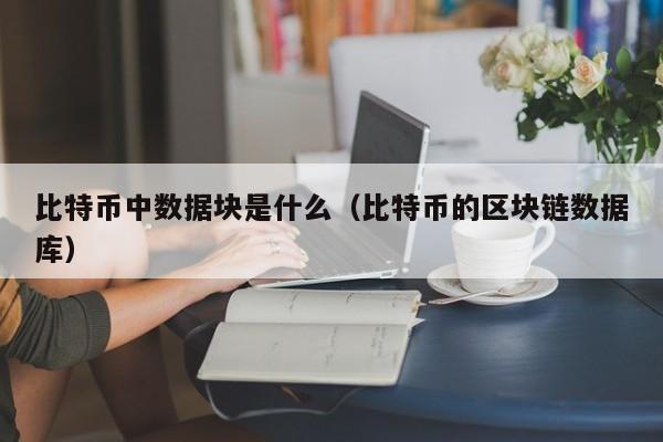 比特币中数据块是什么（比特币的区块链数据库）