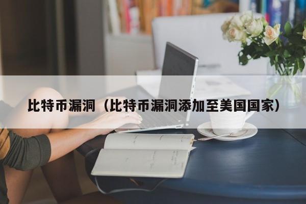 比特币漏洞（比特币漏洞添加至美国国家）