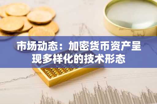 市场动态：加密货币资产呈现多样化的技术形态