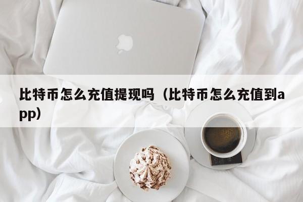 比特币怎么充值提现吗（比特币怎么充值到app）