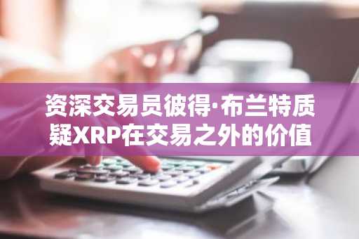 资深交易员彼得·布兰特质疑XRP在交易之外的价值