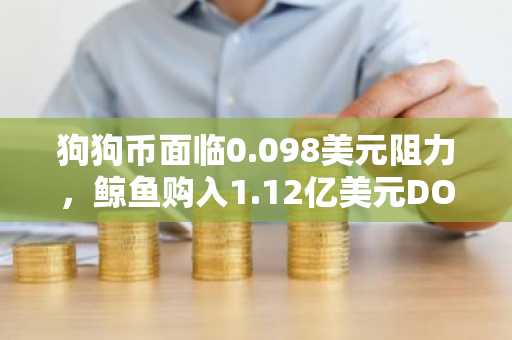 狗狗币面临0.098美元阻力，鲸鱼购入1.12亿美元DOGE
