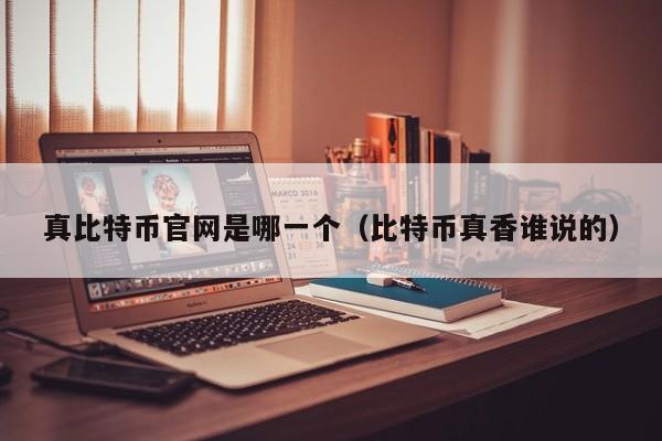 真比特币官网是哪一个（比特币真香谁说的）
