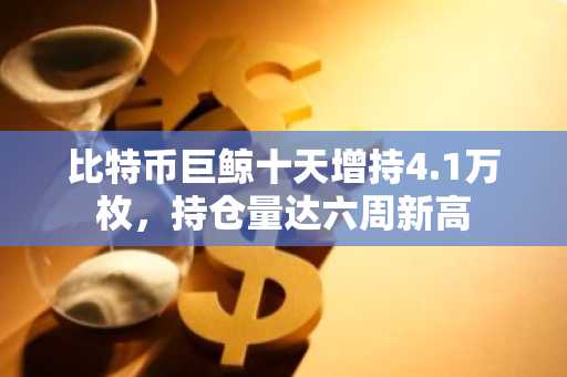 比特币巨鲸十天增持4.1万枚，持仓量达六周新高
